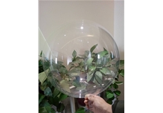 Bubble Balloon